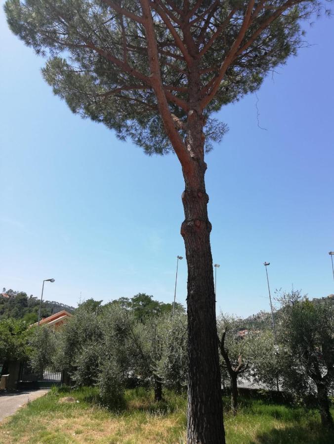 Ca Du Angiulin Hotel Casarza Ligure Bagian luar foto